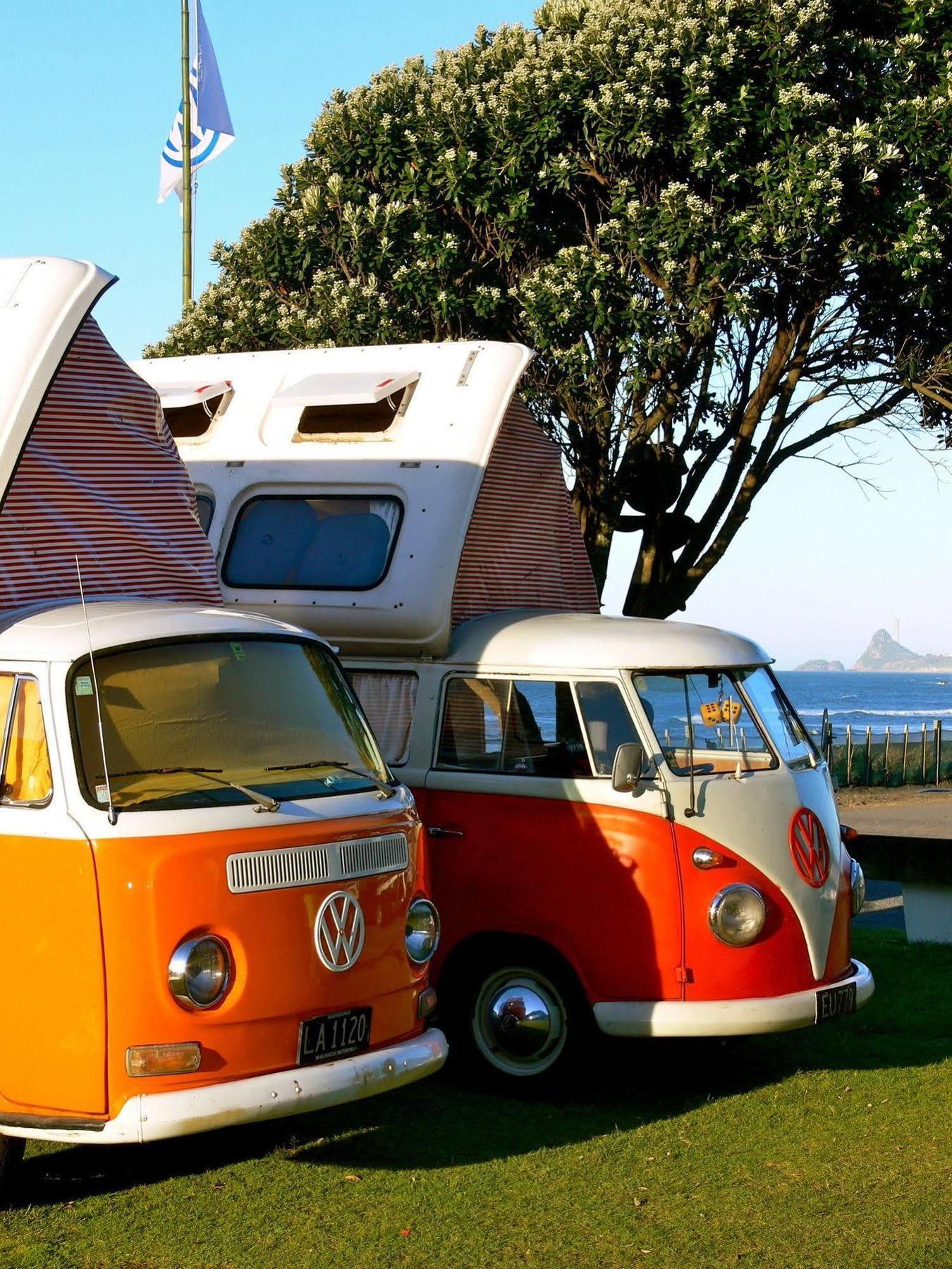 Oakura Beach Holiday Park Eksteriør bilde