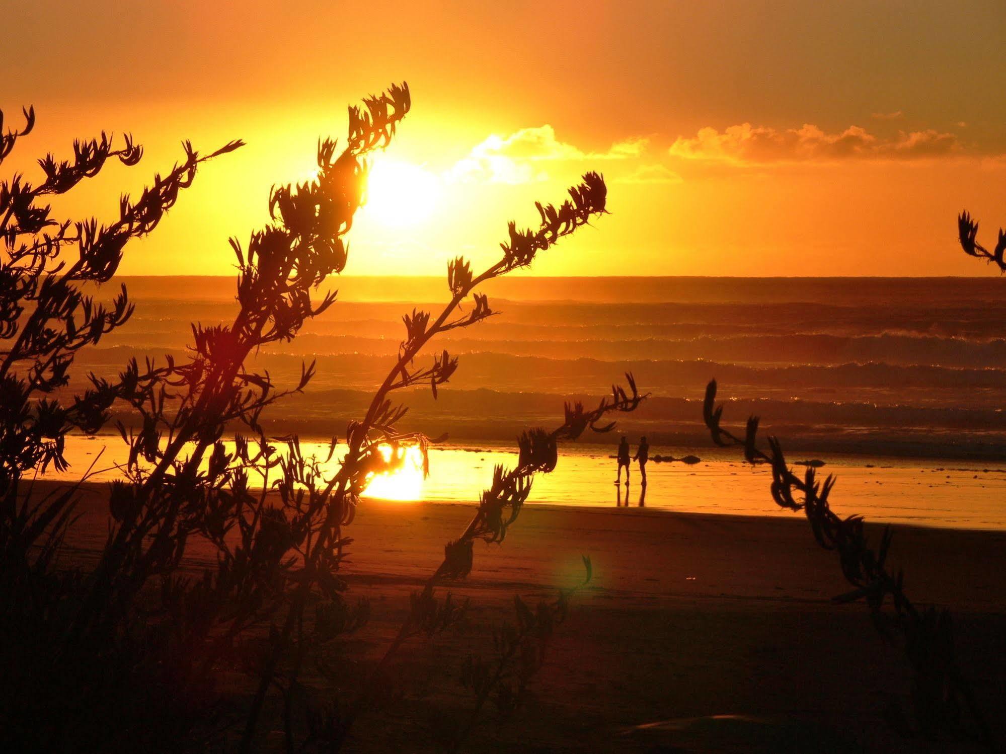 Oakura Beach Holiday Park Eksteriør bilde